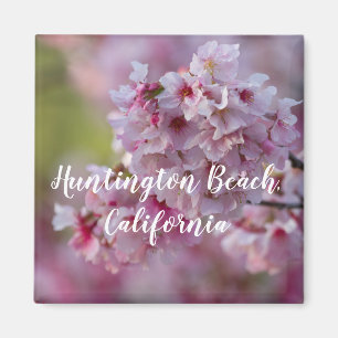 Cherry Blossoms in Huntington Beach Magnet