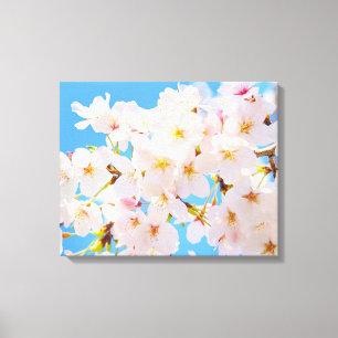 Cherry Blossoms in Spring Canvas Print