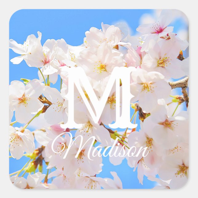 Cherry Blossoms in Spring Square Sticker (Front)