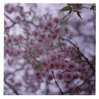 Cherry Blossoms in the breeze 3D effect tile 6x6"