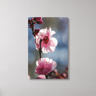 Cherry Blossoms in the Sunshine Triptych Art Canvas Print