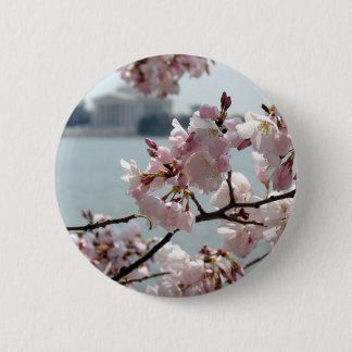 Cherry Blossoms in Washington DC 6 Cm Round Badge