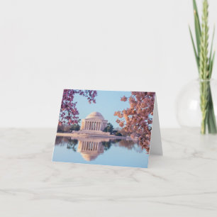 Cherry Blossoms in Washington DC Card