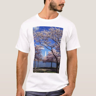 Cherry Blossoms in Washington DC Men's T-shirt