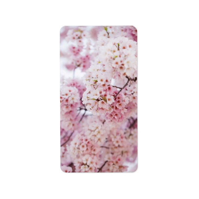 Cherry Blossoms Label (Front)