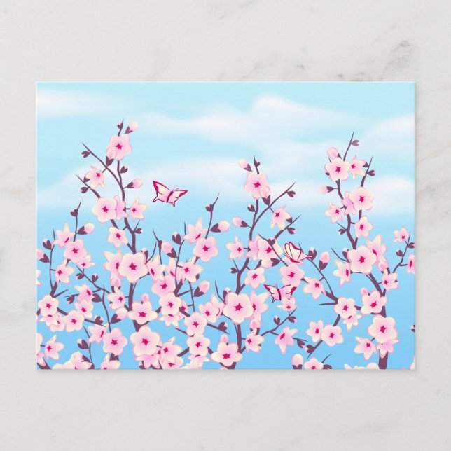Cherry Blossoms Landscape Postcard (Front)