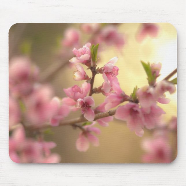 Cherry Blossoms Mouse Mat (Front)