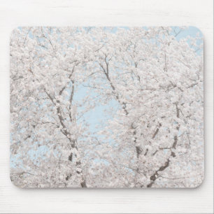 cherry blossoms mouse mat