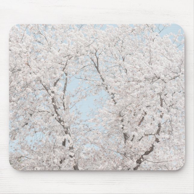 cherry blossoms mouse mat (Front)