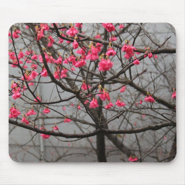 Cherry Blossoms Mouse Mat (Front)