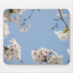 Cherry blossoms mouse mat