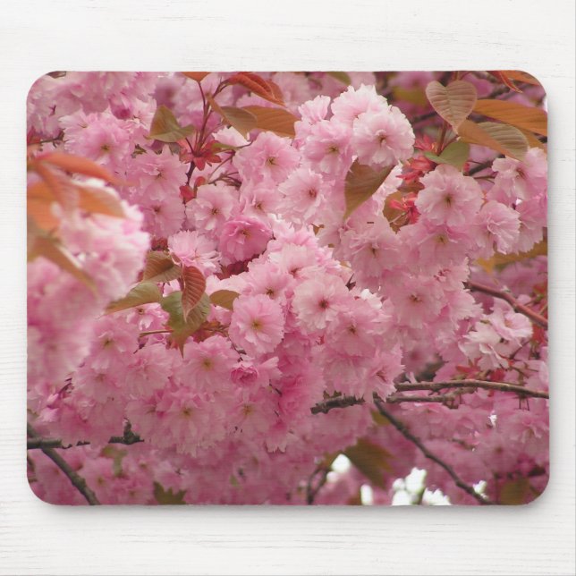 Cherry Blossoms Mouse Mat (Front)