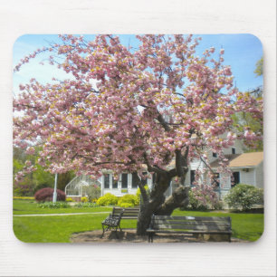 Cherry Blossoms Mouse Pad