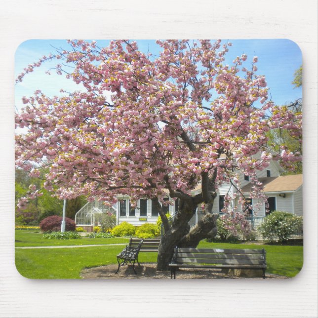 Cherry Blossoms Mouse Pad (Front)