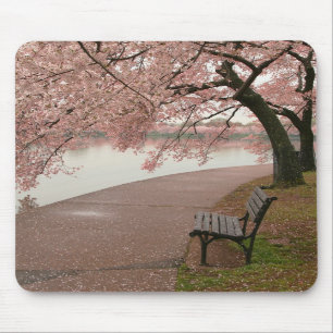 Cherry Blossoms Mousepad