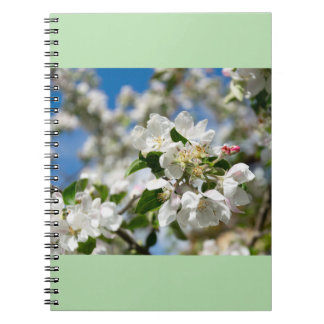 Cherry blossoms. notebook