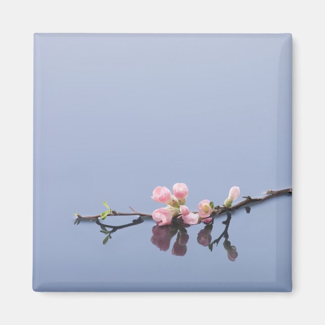 Cherry blossoms on water magnet (Front)