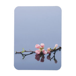 Cherry blossoms on water magnet