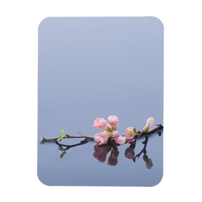 Cherry blossoms on water magnet (Vertical)