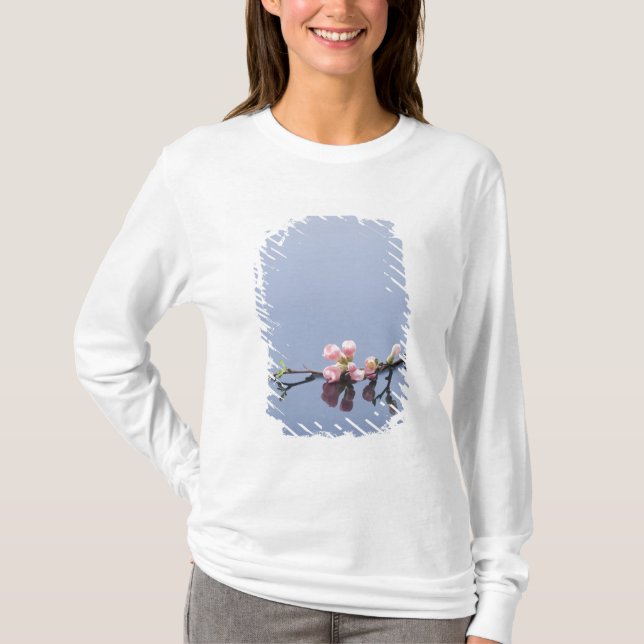 Cherry blossoms on water T-Shirt (Front)