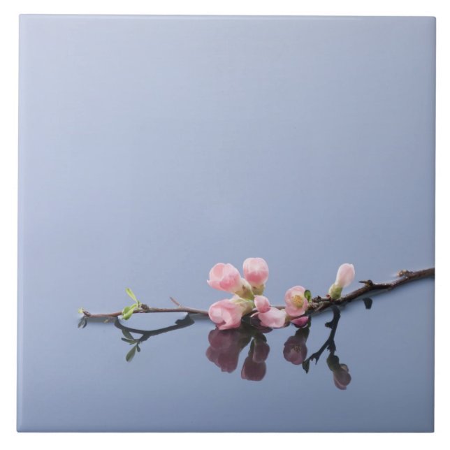 Cherry blossoms on water tile (Front)