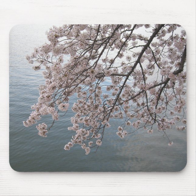 cherry blossoms over tidal basin mouse mat (Front)