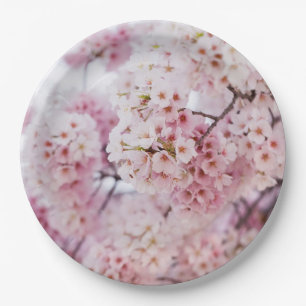 Cherry Blossoms Paper Plate