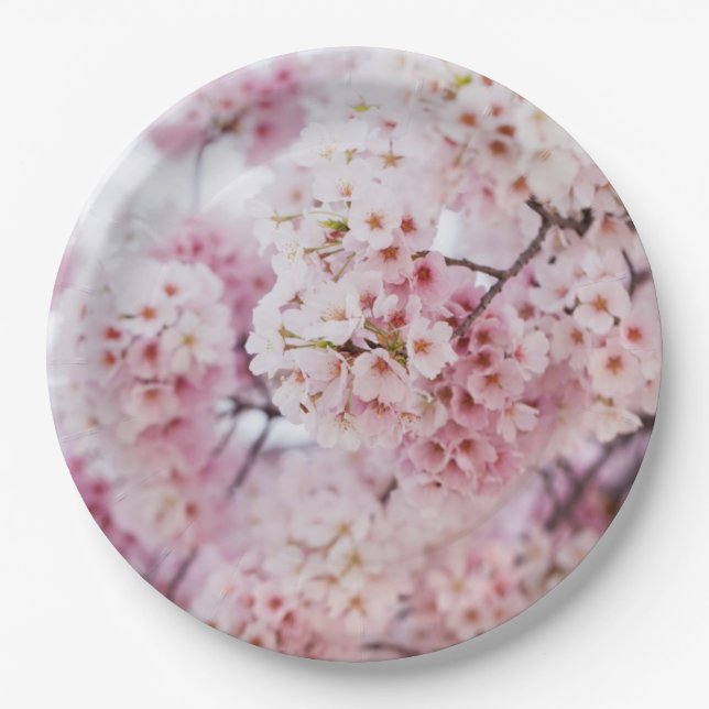 Cherry Blossoms Paper Plate (Front)