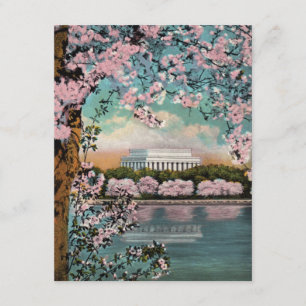 Cherry Blossoms Party Invitation