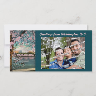 Cherry Blossoms Photocard