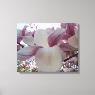 Cherry Blossoms Pink and White Photography Art Canvas Print