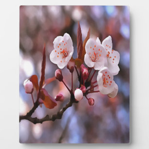 Cherry Blossoms Plaque