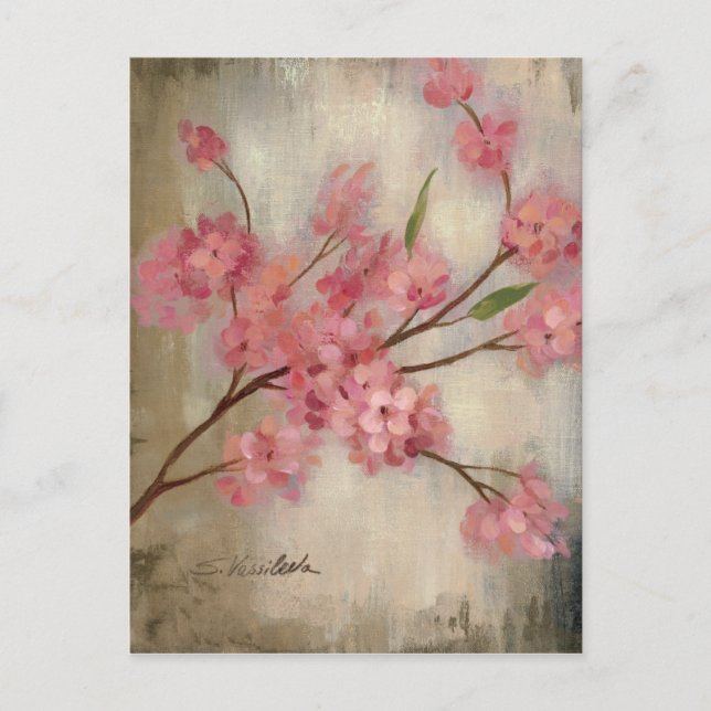 Cherry Blossoms Postcard (Front)