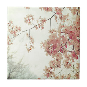 Cherry Blossoms Tile