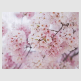 Cherry Blossoms Tissue Paper