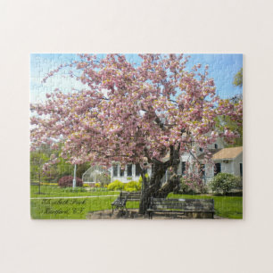 Cherry Blossoms Tree, Elizabeth Park, Hartford CT Jigsaw Puzzle