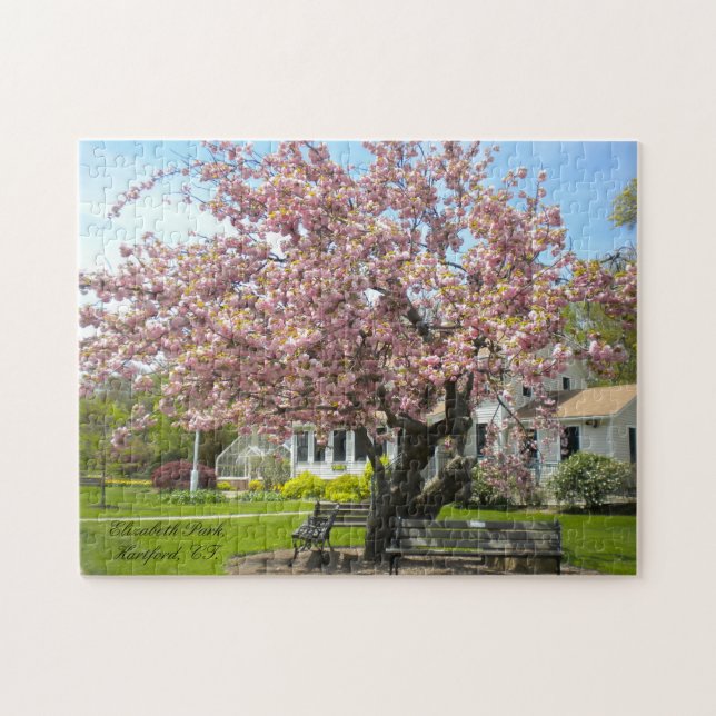 Cherry Blossoms Tree, Elizabeth Park, Hartford CT Jigsaw Puzzle (Horizontal)