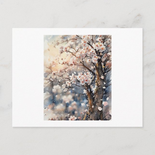 Cherry Blossoms Tree,  Postcard (Front)