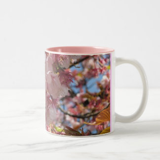 Cherry Blossoms Two-Tone Coffee Mug