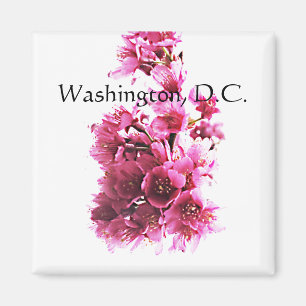 Cherry blossoms. Washington, D.C. Magnet