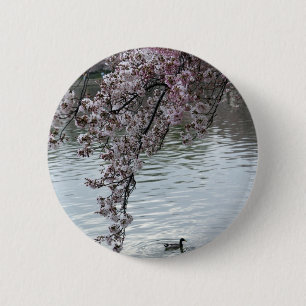 Cherry Blossoms Washington DC 6 Cm Round Badge