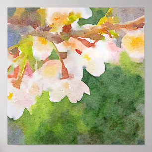 Cherry Blossoms Watercolor Sakura Flowers Spring Poster