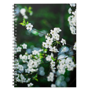 cherry-blossoms-white-01-60v.jpg notebook