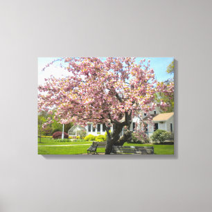 Cherry Blossoms Wrapped Canvas