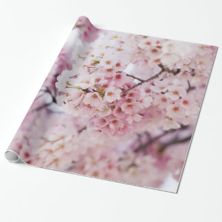 Cherry Blossoms Wrapping Paper