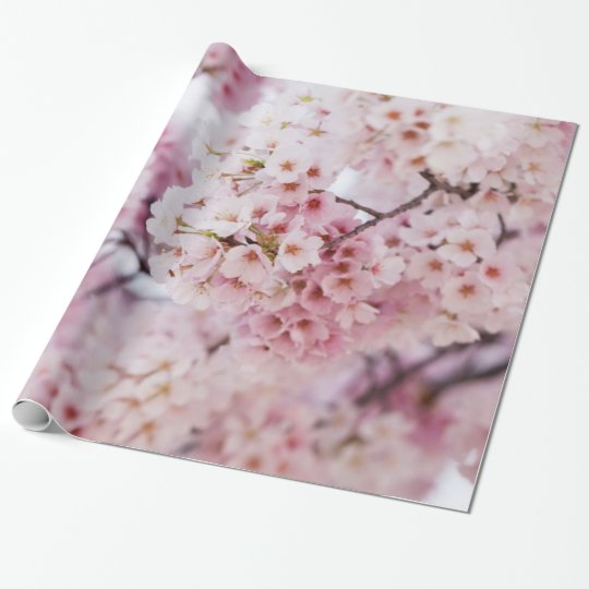 Cherry Blossoms Wrapping Paper | Zazzle.co.uk