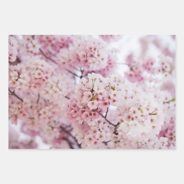 Cherry Blossoms Wrapping Paper Sheet (Front)