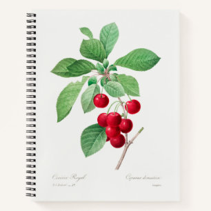 Cherry Botanical Print Notebook