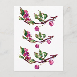 Cherry Branch Postcard