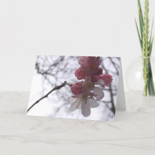 cherry card